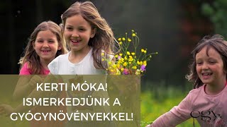 Gyerekjáték Borbás Marcsi kertjében  Ismerkedjünk a gyógynövényekkel [upl. by Jeff]