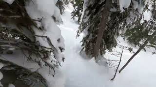 Snowboarding WhitefishMT 2022 [upl. by Havelock]