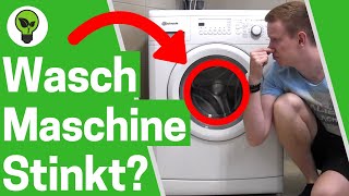 Waschmaschine Stinkt ✅ ULTIMATIVE LÖSUNG Waschmaschine Reinigen wenn Wäsche nach Waschen Stinkt [upl. by Earleen428]