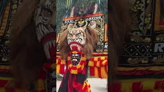 Reog ponorogo Di Sanggau kalbar [upl. by Liana]