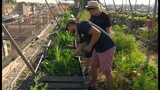 Agriculture urbaine  et si on cultivait des potagers en ville   Le Magazine de la santé [upl. by Jesselyn]