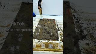 Cleaning most disgusting carpet 🤢🌊 satisfying carpetcleaning rugcleaning asmr rugasmr [upl. by Shamma500]