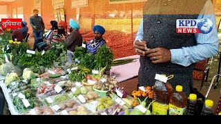 Punjab Agricultural University PAU Ludhiana Kisaan Mela2019 Live [upl. by Jillana]