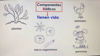 Componentes bióticos y abióticos de la naturaleza [upl. by Glialentn]