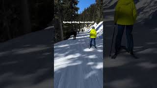 Spring Skiing at Whistler Blackcomb [upl. by Boycie668]