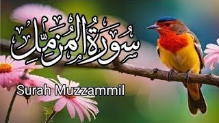 Surah Muzammil Full I سورة المزمل [upl. by Eidod]