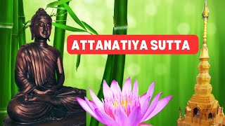 Paritta Chanting  Attanatiya sutta [upl. by Suoinuj]