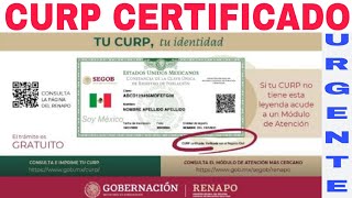 💥Cómo certificar CURP 2023 ante la 🔴RENAPO Pasos y requisitos hoy aquí☝️ [upl. by Adnav]