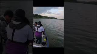 Righty tighty lefty loosey lesson on a big catfish fishing blooper [upl. by Eustatius]