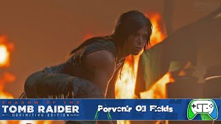 Shadow of the Tomb Raider  Porvenir Oil Fields  Walkthrough [upl. by Ainocal139]