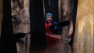 Congaree National Park Wilderness Serene and Surreal [upl. by Xella978]