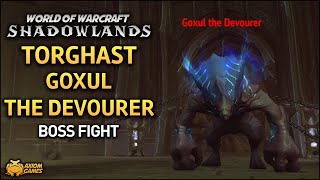 WoW Shadowlands  Torghast Goxul the Devourer Boss Fight [upl. by Cresida]