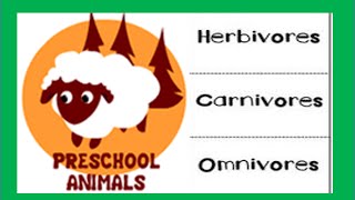 Herbivore Carnivore Omnivore Animals [upl. by Chloris]