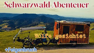 Wölfe18 Prozent SteigungSchwarzwald Abenteuer T1 [upl. by Araccot665]