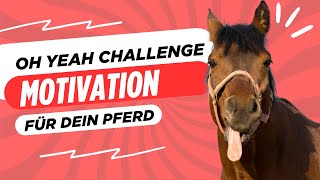 Die ohyeah Challenge 🐴 Motivation für dein Pferd nicht nur in der Freiarbeit pferdetraining [upl. by Vange]