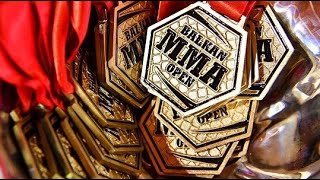 Top 5 Balkan MMA Fighters [upl. by Akfir]