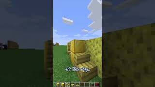 how to build a WALL with SPONGES in minecraft update 121 shorts [upl. by Nnilsia560]