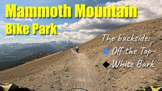 Dont forget the backside of Mammoth Mountain 2024 Off the top White Bark [upl. by Giralda]