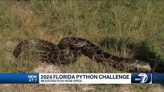 Registration begins for 2024 Florida Python Challenge in the Everglades [upl. by Aihsel]