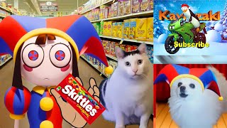 Pomni Wants some Skittles  Los Pingüinos Kawasaki  Meme Cats and Dogs Sing [upl. by Bamberger625]