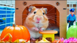 Hamster Escapes Colorful Ball Maze  Epic Escape 🐹 Hamster Maze [upl. by Kra]