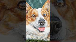 Knox 🤍🕊️ memorial painting petportrait petportraitartist art artcommission dogpainting [upl. by Gradey]