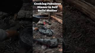 Cooking Fabulous Dinner In Self Build Wooden Shelter [upl. by Martin88]