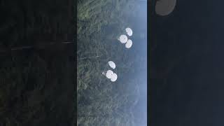 AIRDROPS army parasf jump border explore [upl. by Lisle]