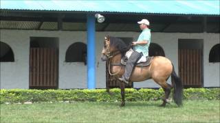 Procurador Cacique de Caramanta Fc x Caprichosa de Gualanday Fc [upl. by Atla]