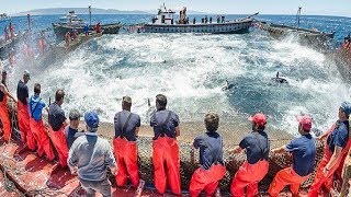 Everyone should watch this Fishermens video  Big Catch Hundreds Tons Fish With Modern Big Boat [upl. by Costello]