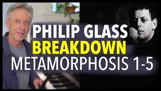 Philip Glass  Metamorphosis 15 Breakdown [upl. by Tsugua]