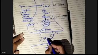 Adrenergic system ANS  adrenergic agonists pharma zoom 2022 complete [upl. by Conah]