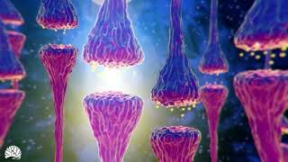 528hz Miracle Tone  Dna Repair amp Healing Nerve And Cell Regeneration Complete Body Healing [upl. by Htenay]