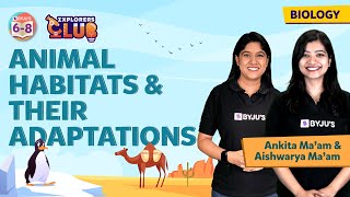 Animal Habitats and Adaptations  Adaptation of Animals in Different Habitats Science  BYJUS [upl. by Eihctir943]