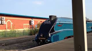 4464 Bittern blasting its whistle at Newton Abbot [upl. by Hacim]