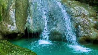 Relaxing birds amp water sounds nature river sounds for sleep meditation relaxation flowing water [upl. by Aronel]