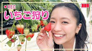 プライベートで、貸切りいちご狩りしちゃいました🍓 [upl. by Kielty]