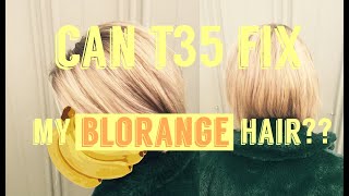 CAN WELLA T35 TONER MAKE MY YELLOWORANGE HAIR BLONDE [upl. by Dosh]