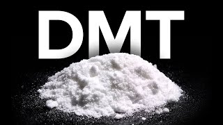 What the Research Says about DMT [upl. by Anoyi]