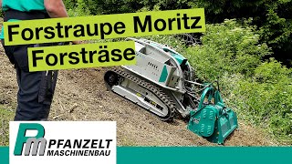 Forstmulcher im Hang Was kann die Moritz Fr50 Raupe als Böschungsmäher [upl. by Asaert]