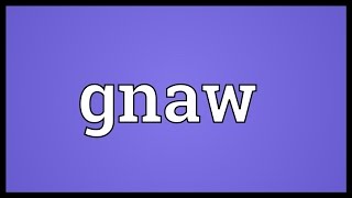 Gnaw Meaning [upl. by Neeluqcaj]