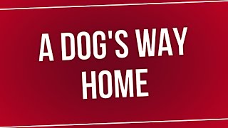 A Dogs Way Home 2019  HD Full Movie Podcast Episode  Film Review [upl. by Rammus]