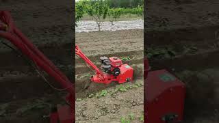 Trenching Machine Weeding Machine Agricultural Machinery trnching and Cultivating Machine🥶shortvid [upl. by Yarod685]