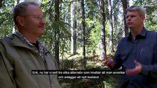 Skog med variation – skötsel för olika mål [upl. by Osei]