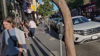 Haight Street HaightAshbury area in San Francisco CA  Oct 2024 [upl. by Simone]