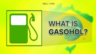 What is Gasohol  SkillLync [upl. by Galen]