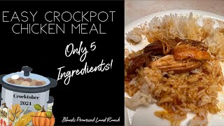 5 Ingredient Chicken Recipe  Crockpot Meals crocktober2024 recipe easy food [upl. by Yror]