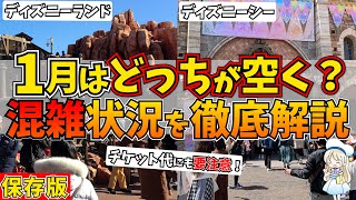 1月ディズニーの混雑予想！穴場のおすすめ期間やイベント始めの混み具合まで徹底シェアします♩ [upl. by Esinrahs]