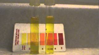 how to denitrate your aquarium FAST denitrate coil [upl. by Jenna497]