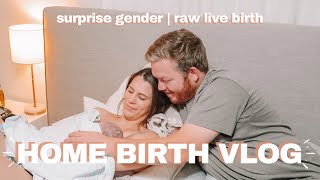 HOME BIRTH VLOG SURPRISE GENDER  RAW amp UNFILTERED BIRTH OF BABY 3  Emma Donaldson [upl. by Jacklin]